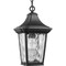 Progress Lighting Marquette Collection One-Light Hanging Lantern with DURASHIELD P550062-031 - alternate 1